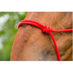 Cabeçada de corda first Vermelho
