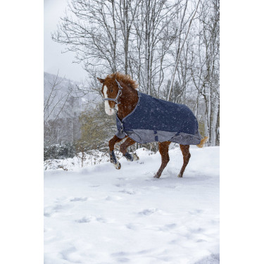 Capa Equithème Tyrex 600 D 150G Marinho / cinza Azul Capa Equithème Tyrex 600 D 150G Marinho / cinza Azul