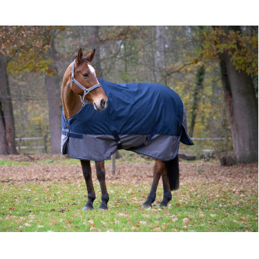 Cobertura Equithème Tyrex 600 D 450g Cobertura Equithème Tyrex 600 D 450g