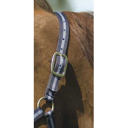 Cabeçada de nylon forrada a couro Norton Marinho / céu Azul Cabeçada de nylon forrada a couro Norton Marinho / céu Azul