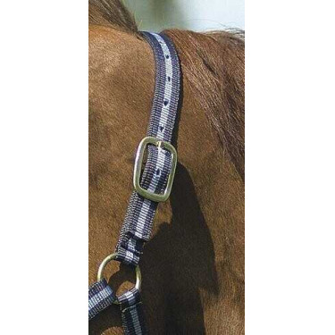 Cabeçada de nylon forrada a couro Norton Marinho / céu Azul Cabeçada de nylon forrada a couro Norton Marinho / céu Azul