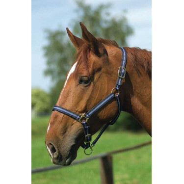 Cabeçada de nylon forrada a couro Norton Marinho / céu Azul Cabeçada de nylon forrada a couro Norton Marinho / céu Azul