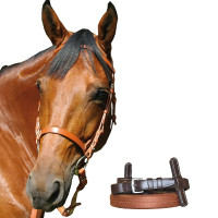 Caveira de treino Canter