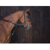 Rendas de gogue em couro Riding World Havana Castanho