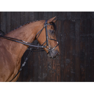 Rendas de gogue em couro Riding World Preto