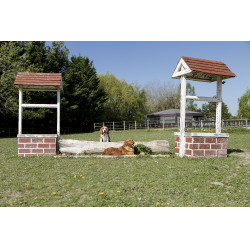 Coleira de couro Diego & Louna para cão Natural Castanho