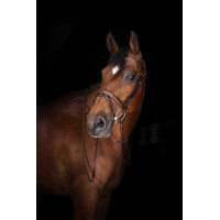 Rendas Hunter Eric Thomas Elite 16 mm Havana Castanho Rendas Hunter Eric Thomas Elite 16 mm Havana Castanho