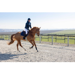 Casaco acolchoado Pro Series Diagonal Azul-marinho