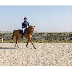 Casaco acolchoado Pro Series Diagonal Azul-marinho