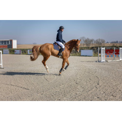 Casaco acolchoado Pro Series Diagonal Azul-marinho