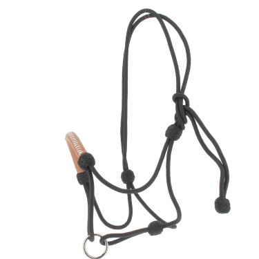 Cabresto etológico Pénélope americano Preto