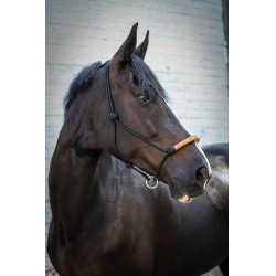 Cabresto etológico Pénélope americano Preto