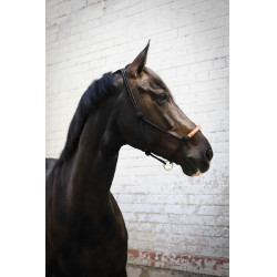 Cabresto etológico Pénélope americano Preto