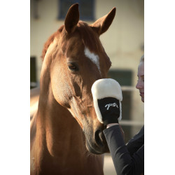 Luva de escovação Pénélope Preto Luva de escovação Pénélope Preto