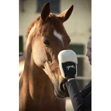Luva de escovação Pénélope Preto Luva de escovação Pénélope Preto