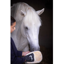 Luva de escovação Pénélope Preto Luva de escovação Pénélope Preto