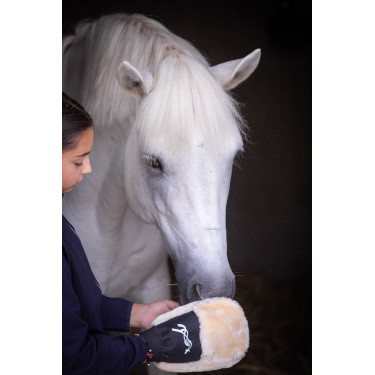 Luva de escovação Pénélope Preto Luva de escovação Pénélope Preto