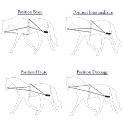 Encilhador Privilège corda Privilege Equitation Encilhador Privilège corda Privilege Equitation