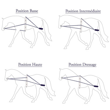 Encilhador Privilège corda Privilege Equitation Encilhador Privilège corda Privilege Equitation