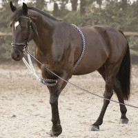 Enrêno Soft Rope Canter Marinho / branco Azul Enrêno Soft Rope Canter Marinho / branco Azul