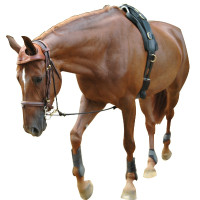 Equilonge Eric Le Tixerant Equilonge Eric Le Tixerant