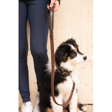 Deixa cão Pénélope Rubber Havana Castanho Deixa cão Pénélope Rubber Havana Castanho