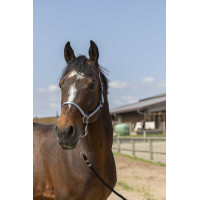 Cabeçada Norton Nylon Soft Azul-marinho