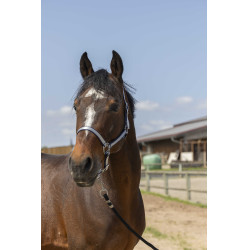 Cabeçada Norton Nylon Soft Azul-marinho