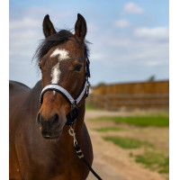 Caveção Equithème Nylon Check Marinho / castanho Azul