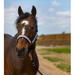 Caveção Equithème Nylon Check Marinho / preto Azul