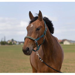 Caveção Equithème Nylon Chevron Verde escuro