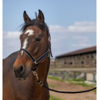 Caveção Equithème Nylon light Azul-marinho Caveção Equithème Nylon light Azul-marinho