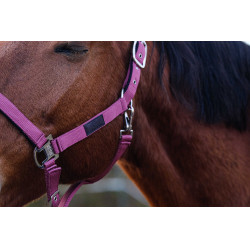 Caveção de Nylon com Mola Equithème Rosa