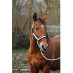 Caveção de Nylon com Mola Equithème Turquesa Azul Caveção de Nylon com Mola Equithème Turquesa Azul