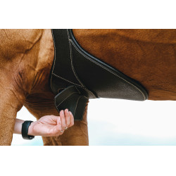 Cinta peitoral Magnet Norton Preto