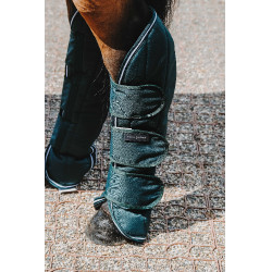 Guéstras de transporte Equithème Tyrex 600D Verde