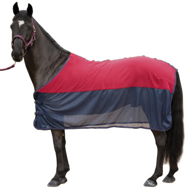 Conjunto de cabeçada, guia e camisa de secagem Canter