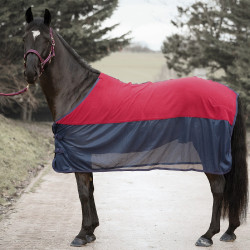 Conjunto de cabeçada, guia e camisa de secagem Canter