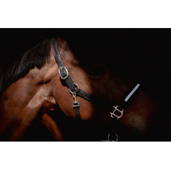 Caveção Pénélope Harmonie Preto