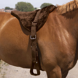 Almofada de montar a pelo Norton Confort Castanho Almofada de montar a pelo Norton Confort Castanho