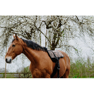 Almofada de montar sem sela Norton Kiowa