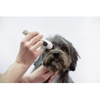 Máquina de tosquiar... Máquina de tosquiar...