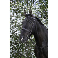 Bridão Riding World Muserola francesa Preto