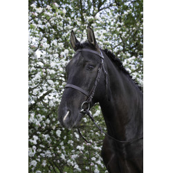 Bridão Riding World Muserola francesa Havana Castanho