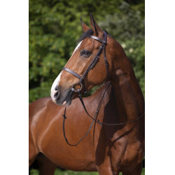Bridão Riding World Muserola francesa Havana Castanho