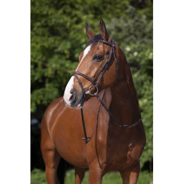 Bridão Riding World Narigueira combinada Havana Castanho Bridão Riding World Narigueira combinada Havana Castanho