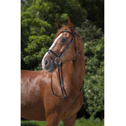 Bridão Riding World Narigueira combinada Preto Bridão Riding World Narigueira combinada Preto
