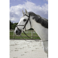 Bridão Riding World Cavesse cruzada Preto