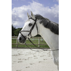 Bridão Riding World Cavesse cruzada Havana Castanho