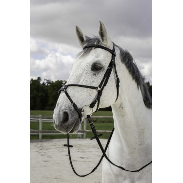 Bridão Riding World Cavesse cruzada Preto